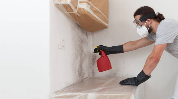 Professional Crawl Space Mold Remediation technician working in Glenwood Landing, NY